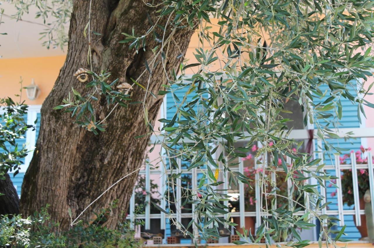 فندق Theama Corfu ماراثياس المظهر الخارجي الصورة